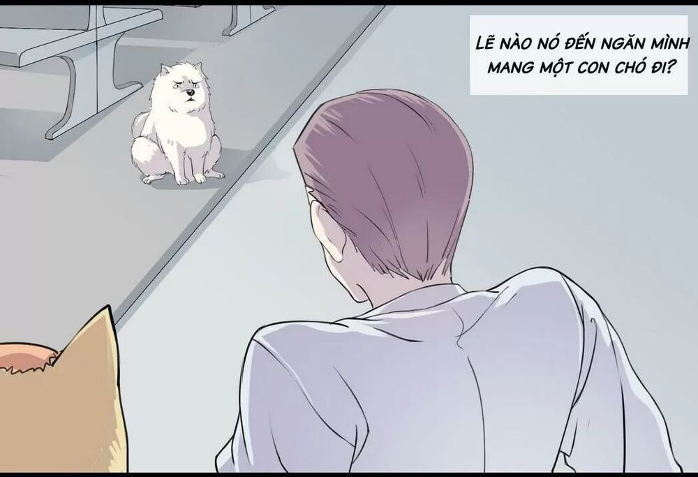 Một Con Chó Chapter 53 - 2