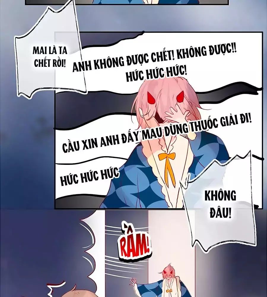 Hoa Dữ Ẩn Nặc Chi Ô Chapter 64 - 40