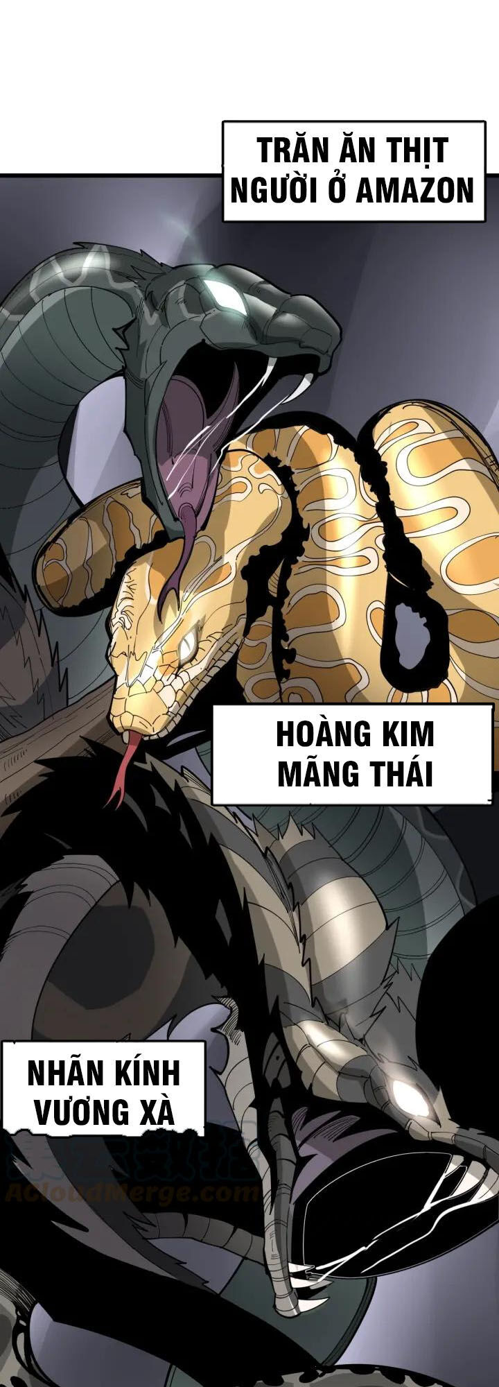 Độc Thủ Vu Y Chapter 91 - 34