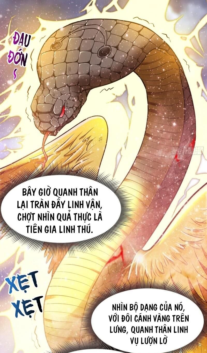 Siêu Cấp Thần Y Tại Đô Thị Chapter 72 - 8