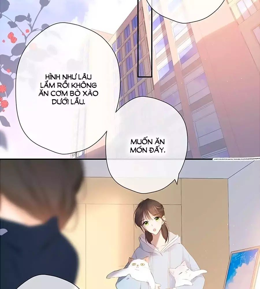 Lại Gặp Được Em Chapter 32 - 31