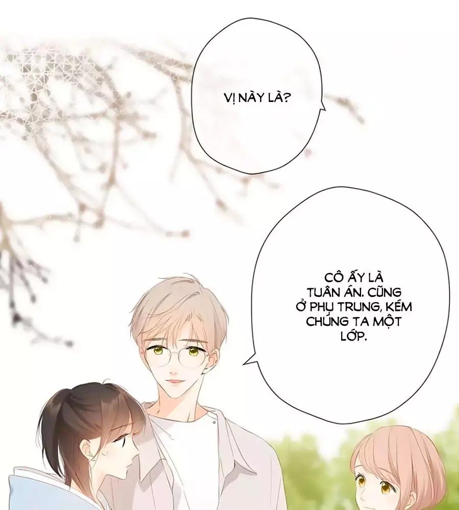 Lại Gặp Được Em Chapter 33 - 12