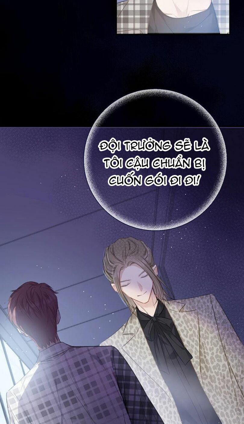 Đừng Để Tôi Bảo Vệ Chapter 23 - Trang 2