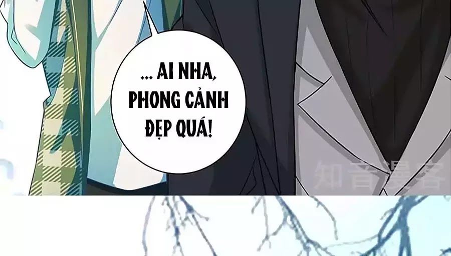 Một Thai Hai Bảo : Đưa Mami Về Nhà ! Chapter 81 - 20