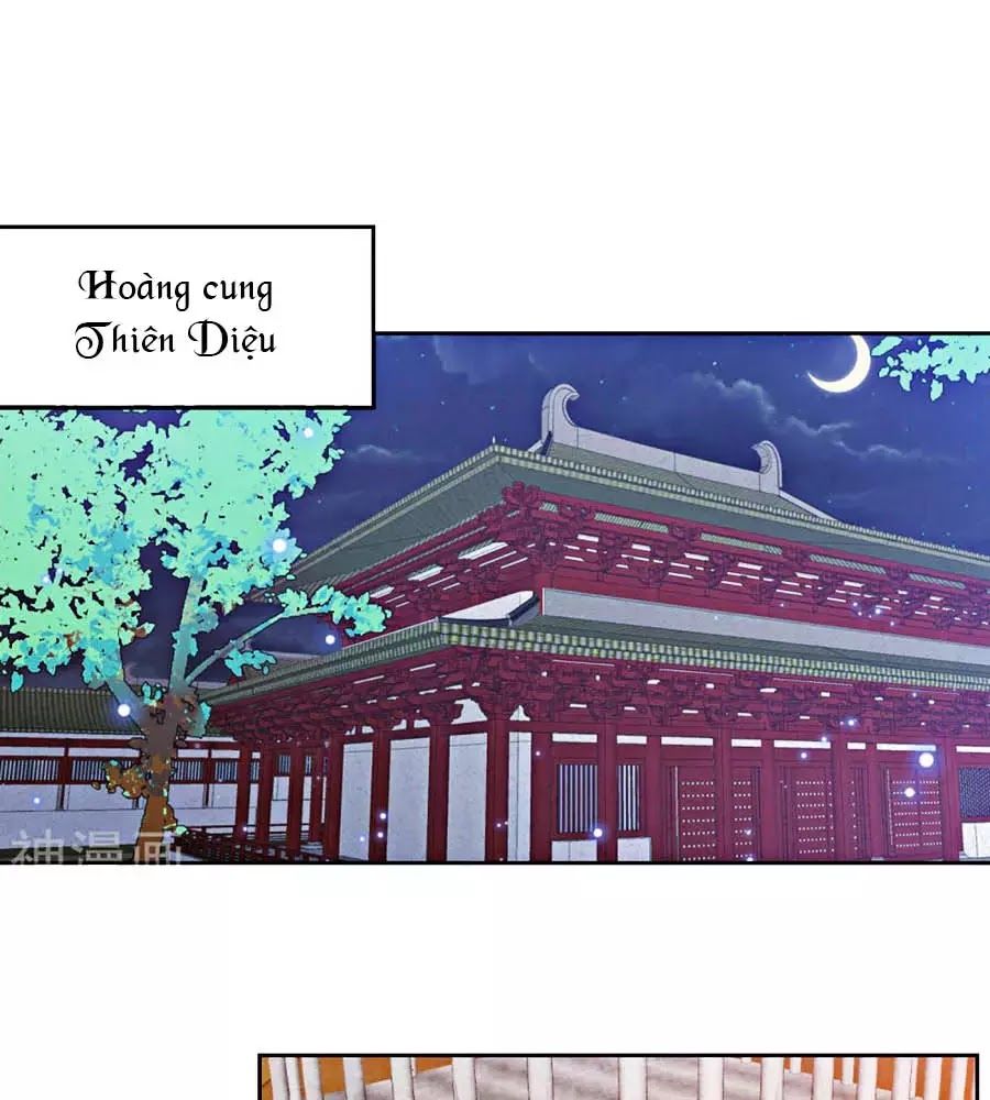 Phượng Hoàng Thác: Chuyên Sủng Khí Thê Chapter 24 - 21