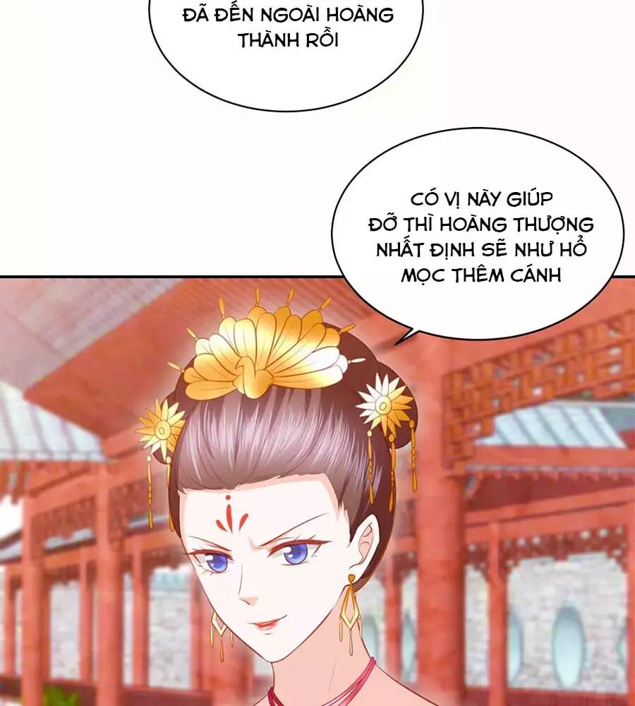 Phượng Hoàng Thác: Chuyên Sủng Khí Thê Chapter 44 - 49