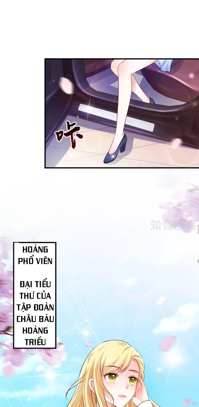 Tối Cường Vận Đào Hoa Chapter 114 - 27