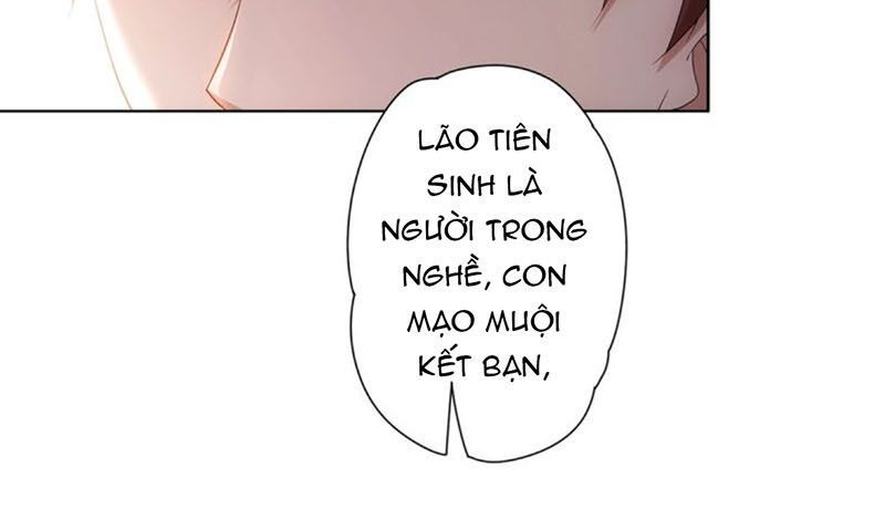 Ta Có Thể Thấy Tỉ Lệ Thành Công Chapter 6 - 19