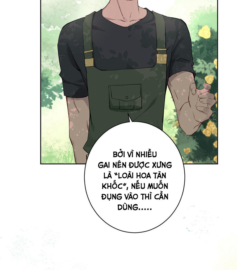 Đại Chiến Công Chúa Chapter 8 - 7