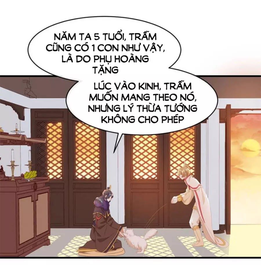 Hội Học Sinh Kiêu Ngạo Của Hoàng Cung Chapter 17 - Trang 3