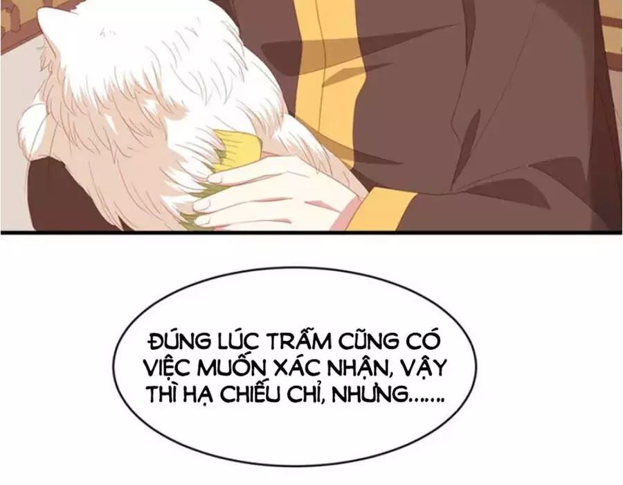 Hội Học Sinh Kiêu Ngạo Của Hoàng Cung Chapter 19 - Trang 3