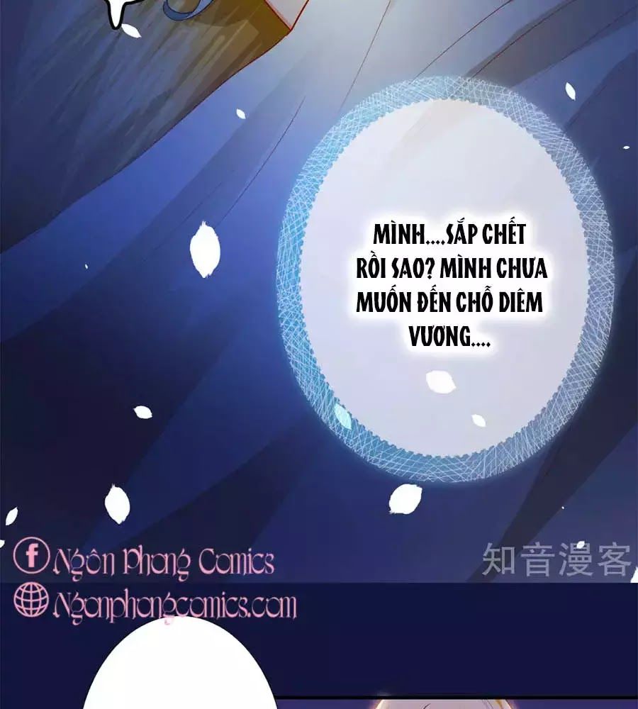 Sủng Hậu Của Vương Chapter 12 - 28