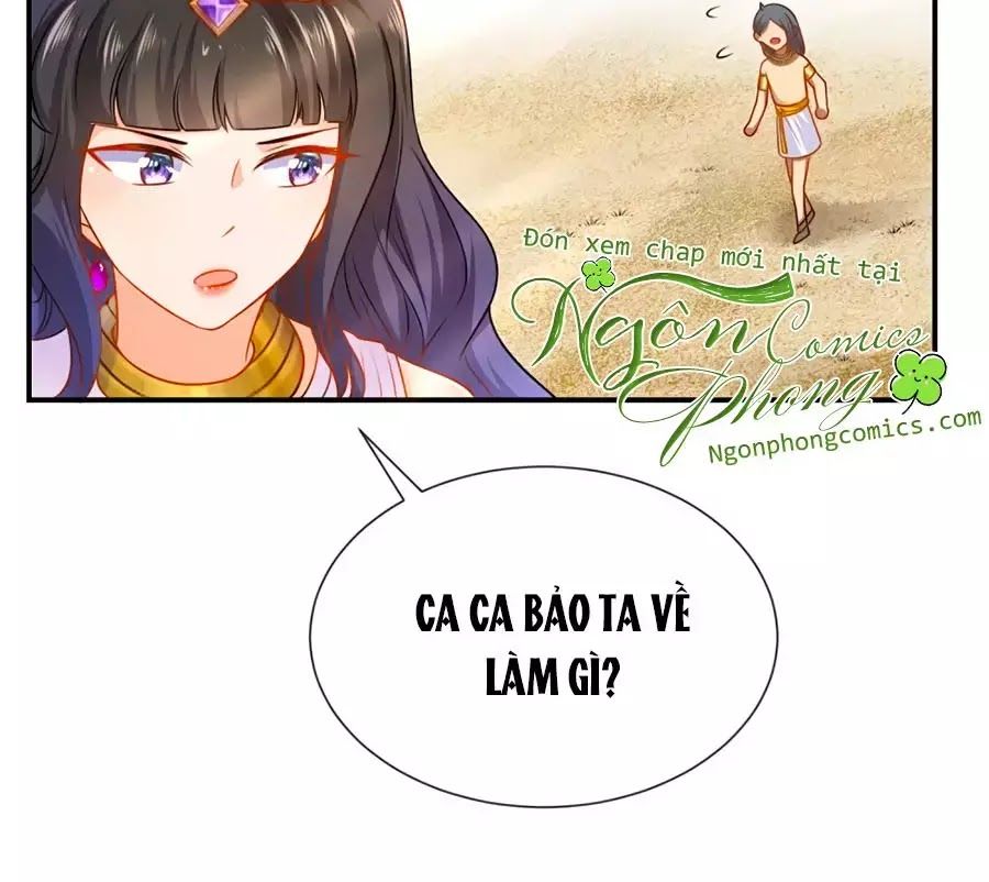 Sủng Hậu Của Vương Chapter 3 - 21