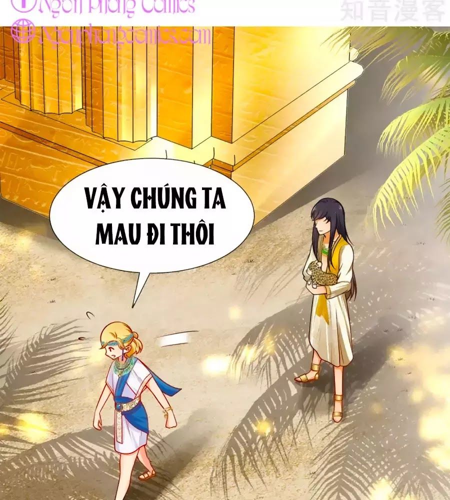 Sủng Hậu Của Vương Chapter 4 - 25