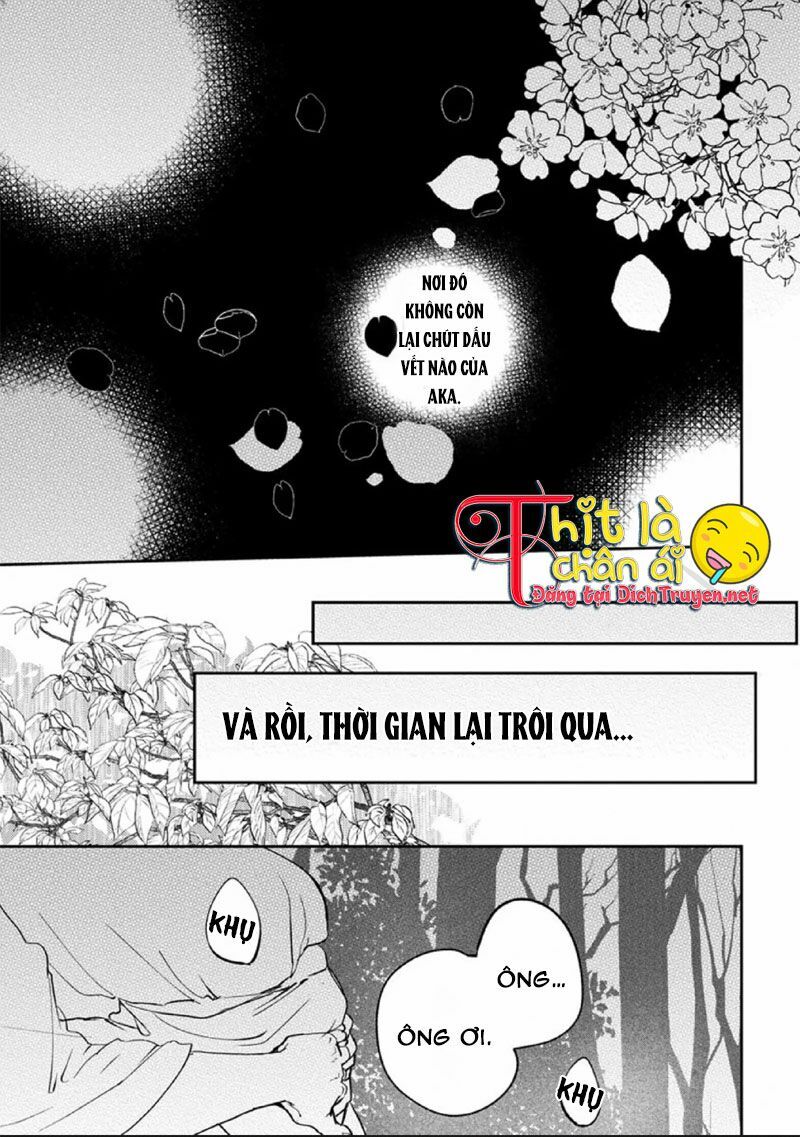 Hoa Trà Đỏ Chapter 3 - 45