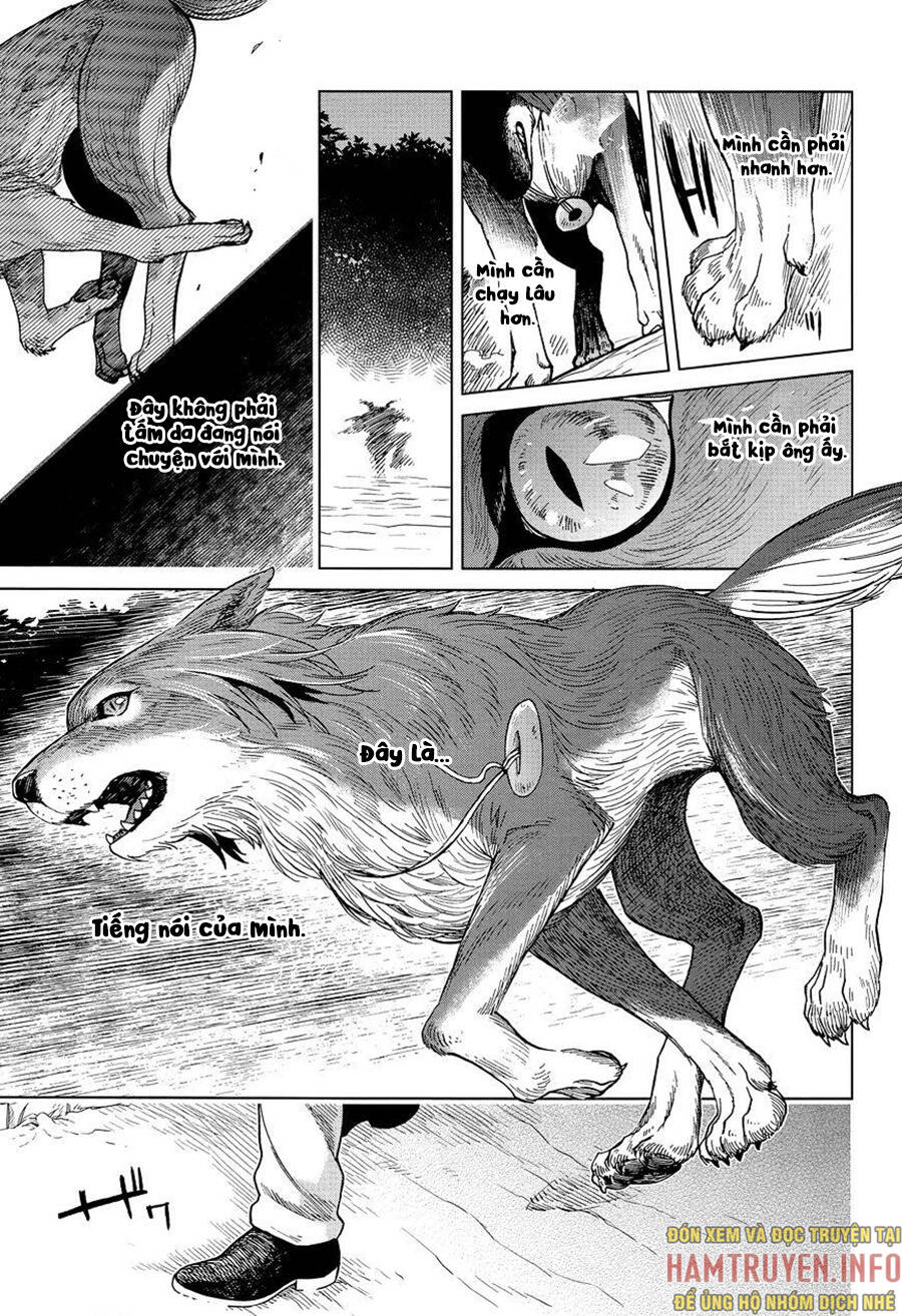 Cô Dâu Pháp Sư Chapter 30 - 25