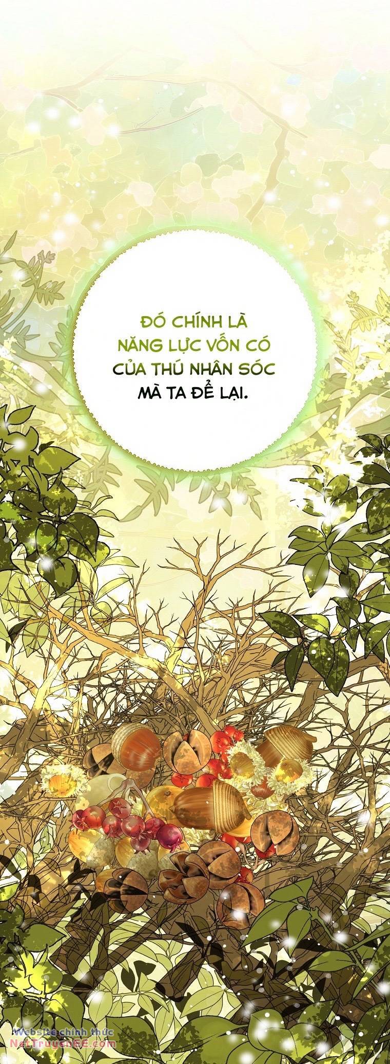 Sóc Nhỏ Tài Năng Chapter 74 - 42