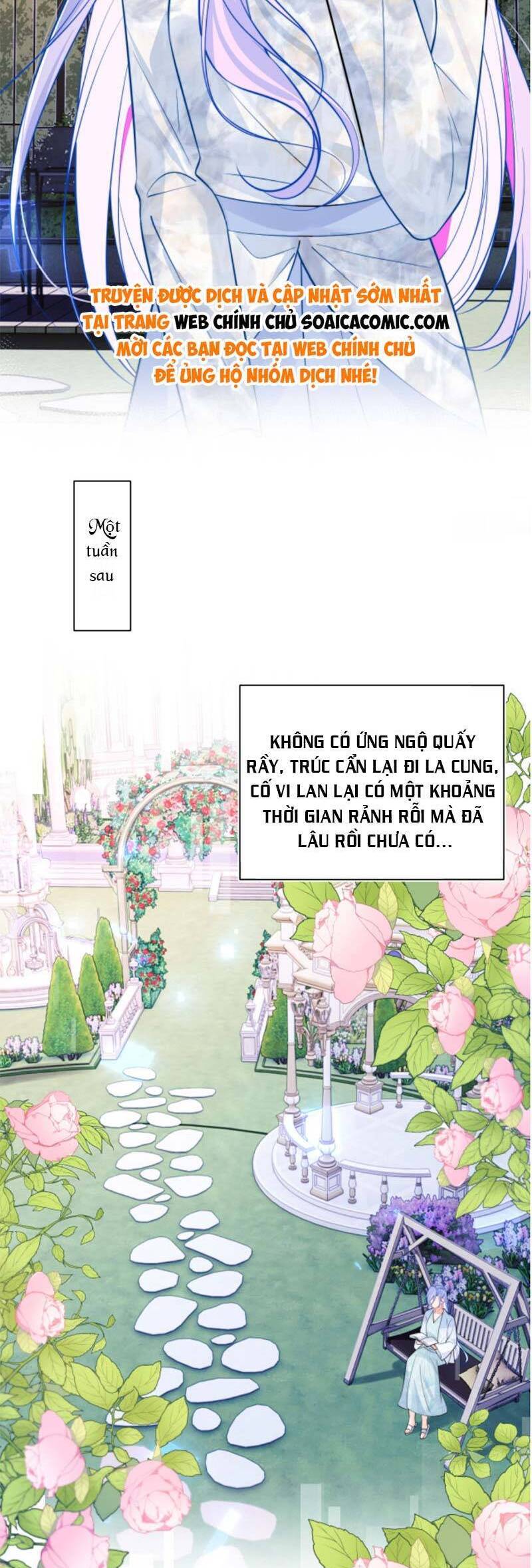 Vị Chỉ Huy Lạnh Lùng Đang Khóc Trong Vòng Tay Tôi Chapter 52 - 8