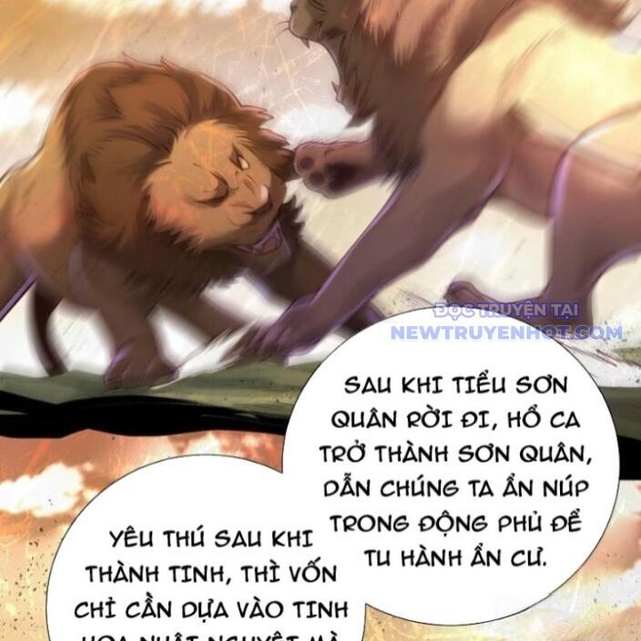 Bói Toán Mà Thôi, Cửu Vĩ Yêu Đế Sao Lại Thành Nương Tử Ta?! Chapter 72 - 39