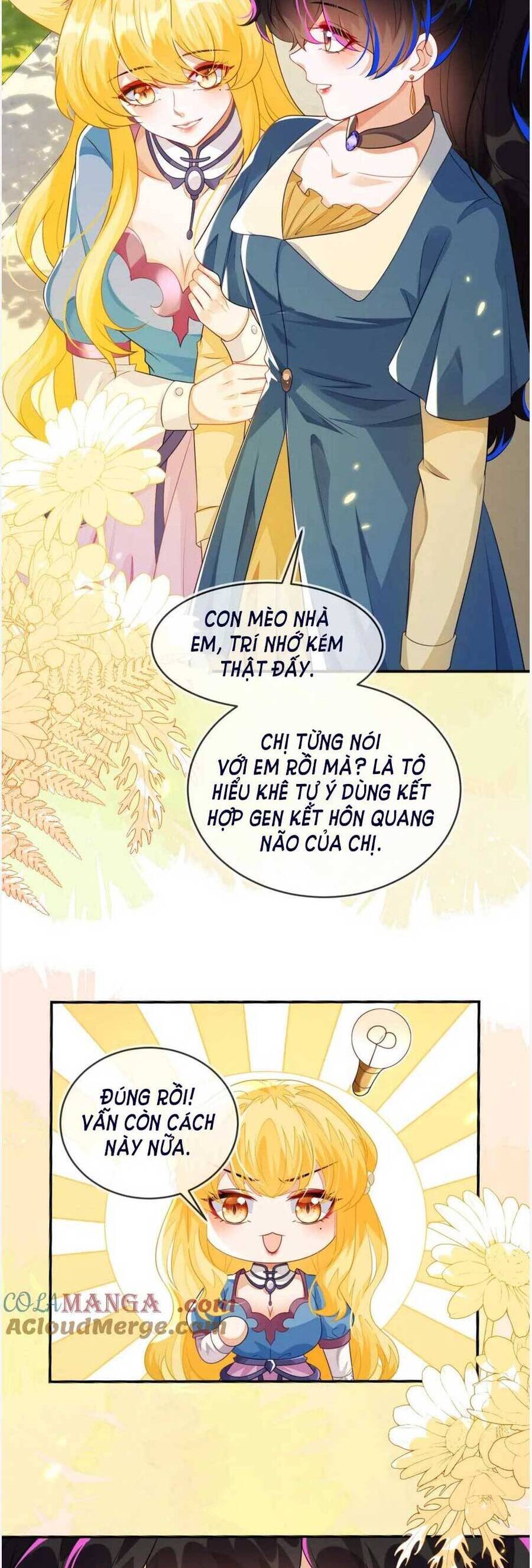 Vừa Mới Huỷ Hôn Đã Bị Dã Hồ Ly Lừa Kết Hôn Chapter 41 - 7