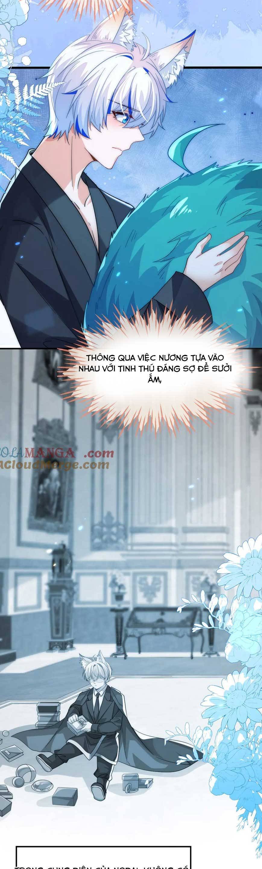 Vừa Mới Huỷ Hôn Đã Bị Dã Hồ Ly Lừa Kết Hôn Chapter 50 - 21