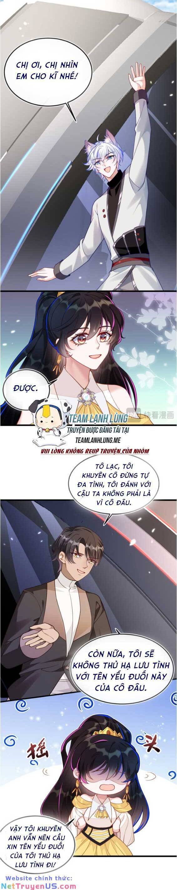 Vừa Mới Huỷ Hôn Đã Bị Dã Hồ Ly Lừa Kết Hôn Chapter 8 - 17