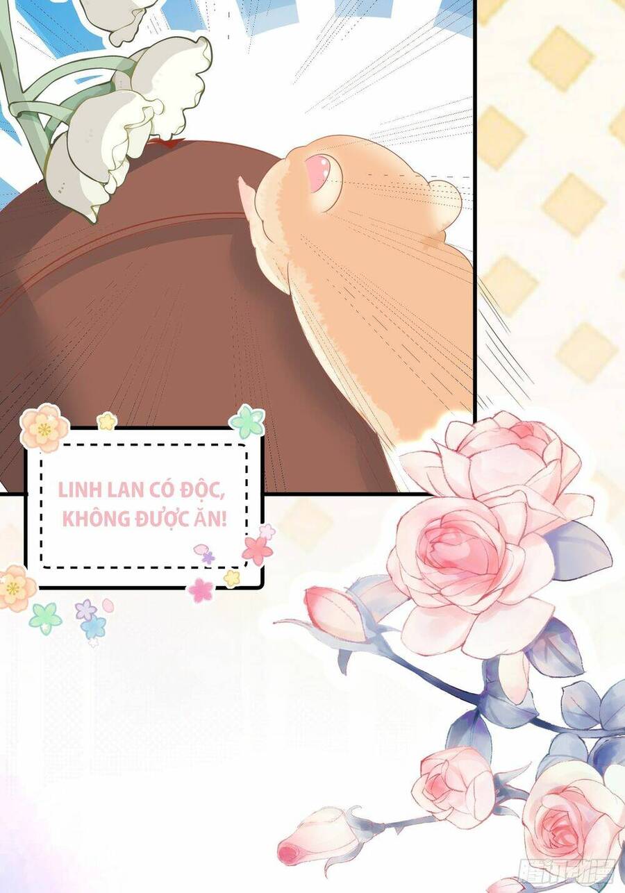 Bảo Điển Tình Yêu Của Hamster Chapter 1 - 26