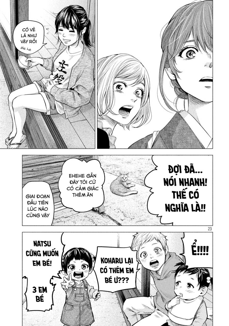 Hare Kon. Okawari! Chapter 8 - 23