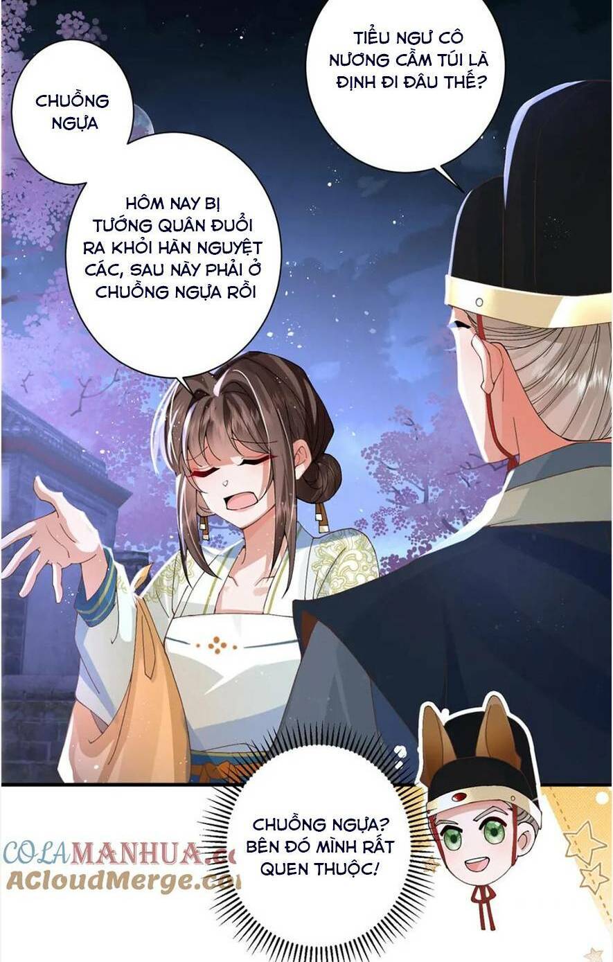 Phượng Hoàng Quy Hồi Chapter 15 - 9