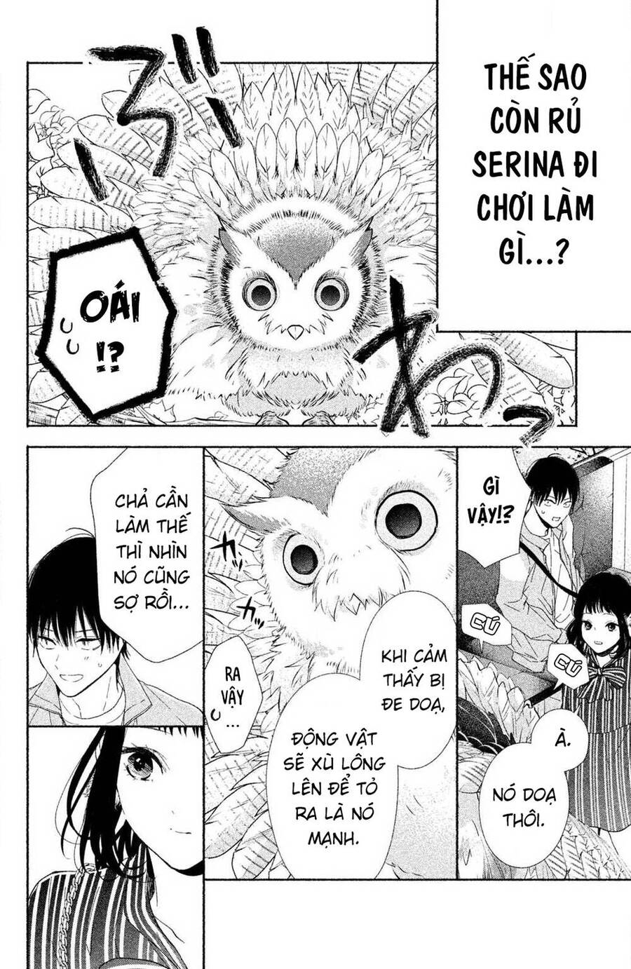 Kamiki Kyoudai Okotowari Little Brother Chapter 1 - 40