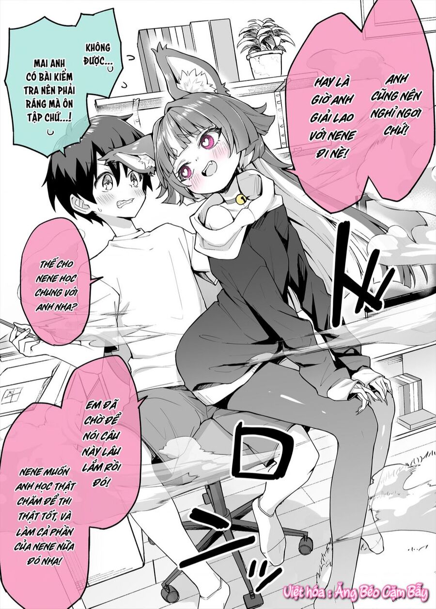 Bé Mèo Yandere Của Tôi Yêu Tôi Rất Nhiều Chapter 3 - 2