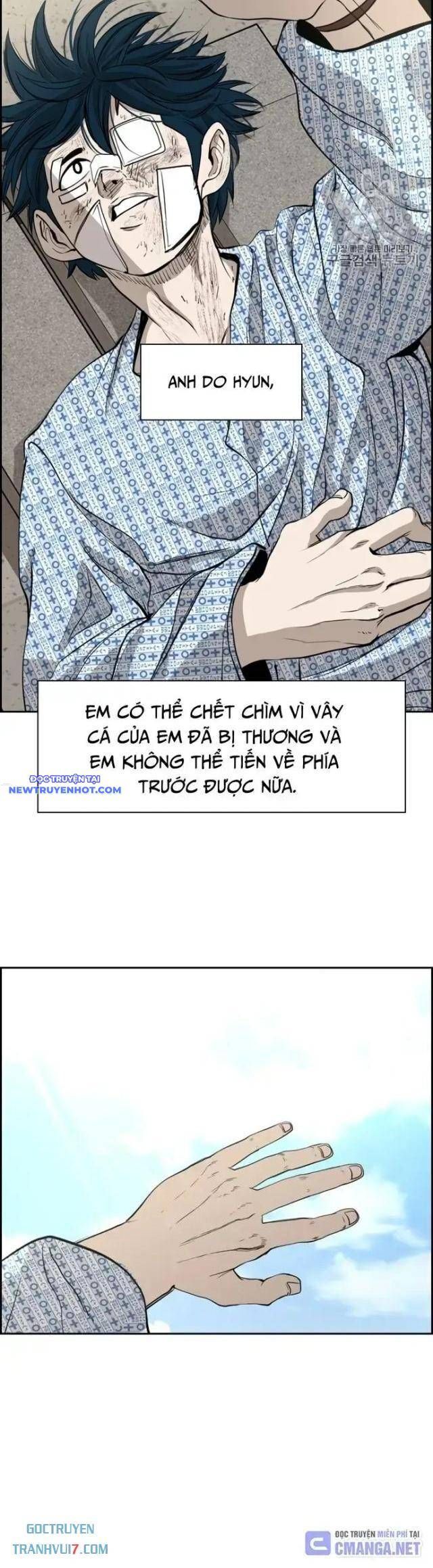 Shark - Cá Mập Chapter 176 - Trang 2