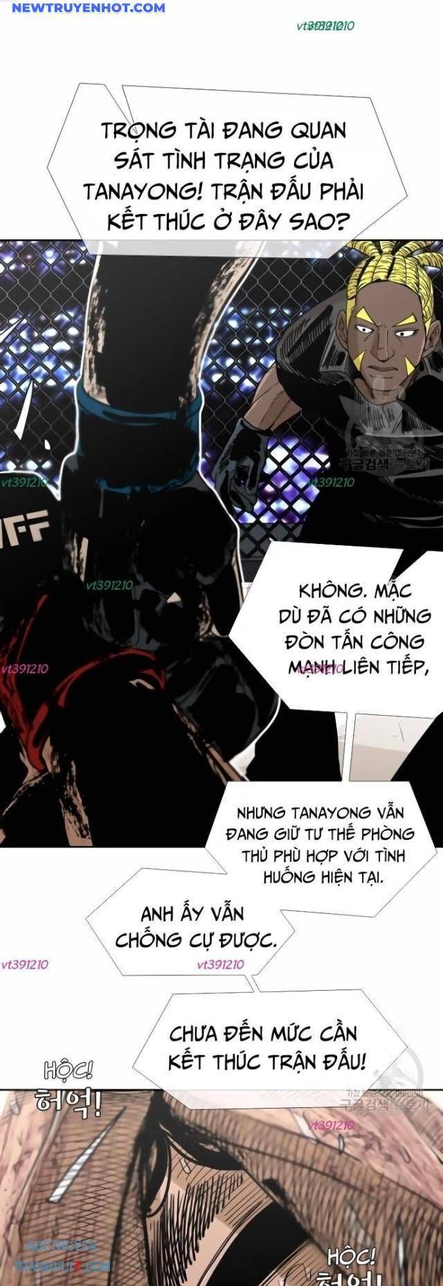 Shark - Cá Mập Chapter 247 - Trang 2