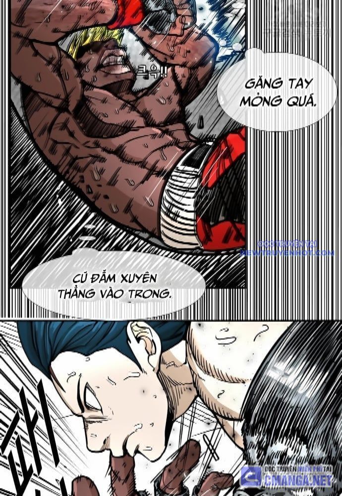 Shark - Cá Mập Chapter 261 - Trang 2