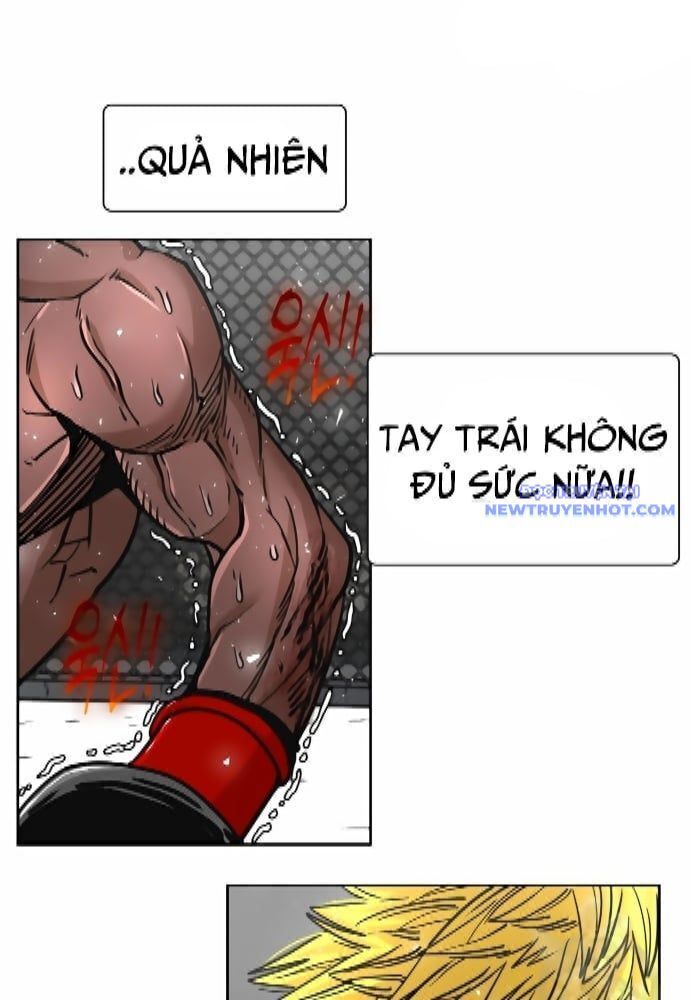 Shark - Cá Mập Chapter 262 - Trang 2