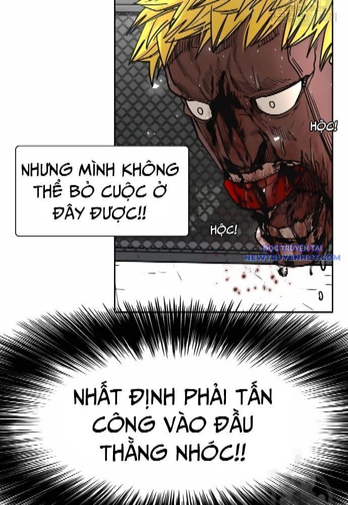 Shark - Cá Mập Chapter 262 - Trang 2