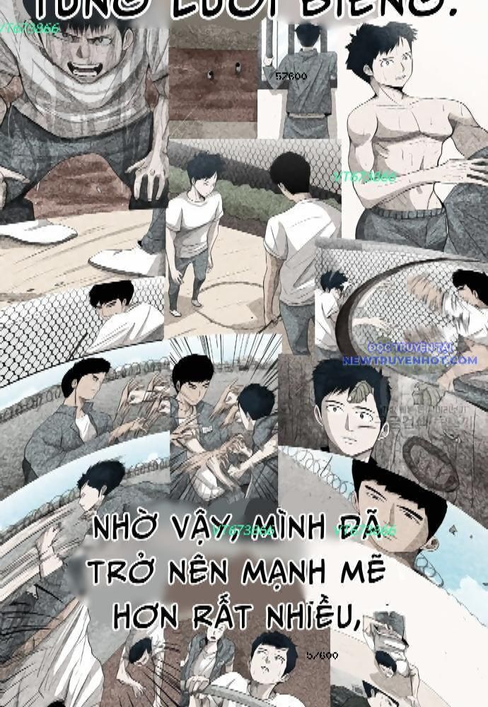 Shark - Cá Mập Chapter 273 - Trang 2