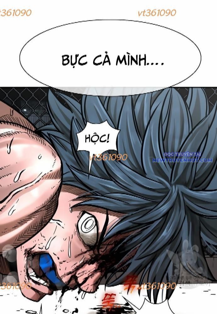 Shark - Cá Mập Chapter 278 - Trang 2