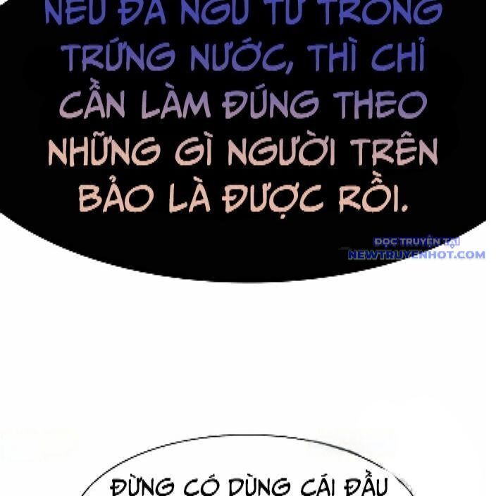 Shark - Cá Mập Chapter 291 - Trang 2