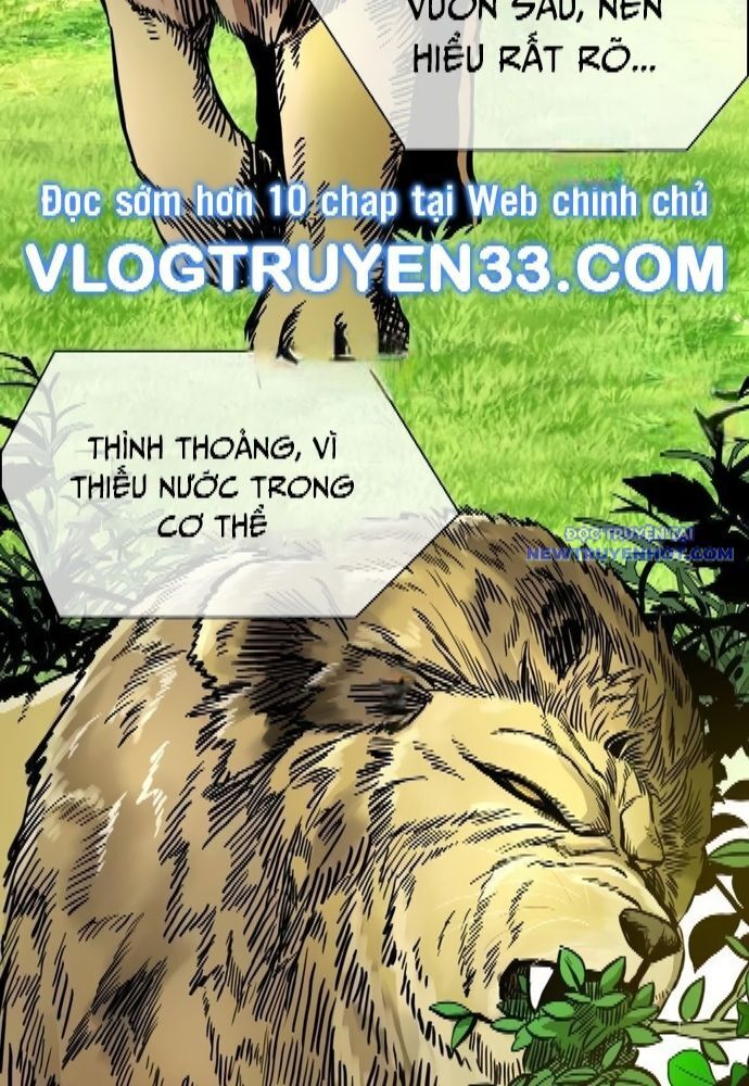 Shark - Cá Mập Chapter 325 - Trang 2