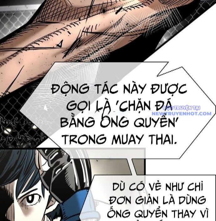 Shark - Cá Mập Chapter 334 - Trang 2