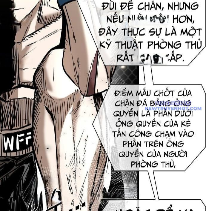 Shark - Cá Mập Chapter 334 - Trang 2