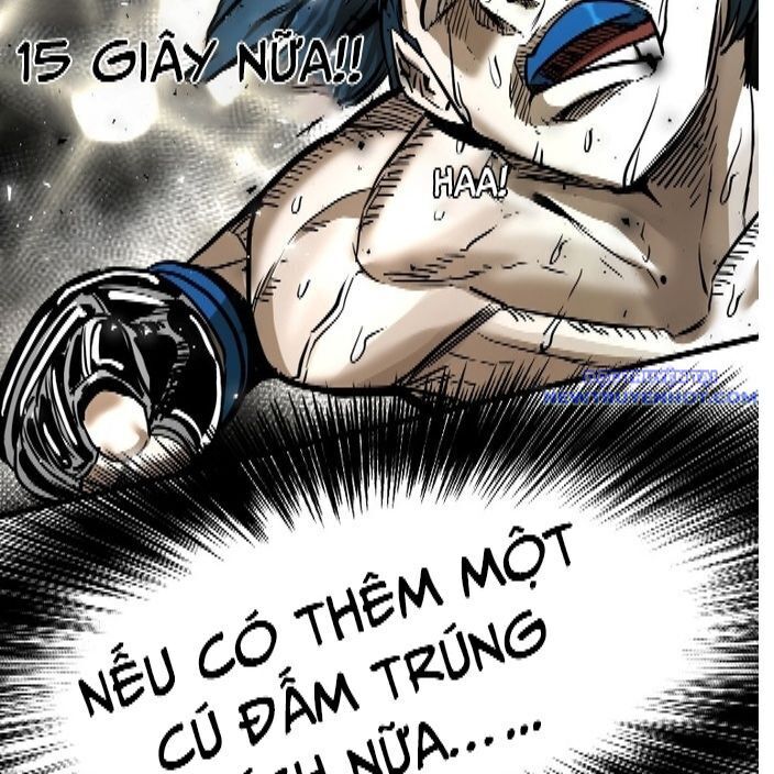 Shark - Cá Mập Chapter 335 - Trang 2