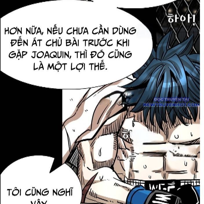 Shark - Cá Mập Chapter 336 - Trang 2