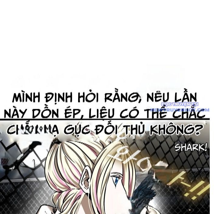 Shark - Cá Mập Chapter 336 - Trang 2