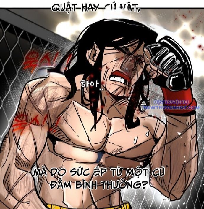 Shark - Cá Mập Chapter 338 - Trang 2