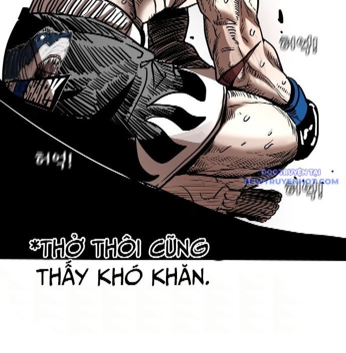 Shark - Cá Mập Chapter 340 - Trang 2