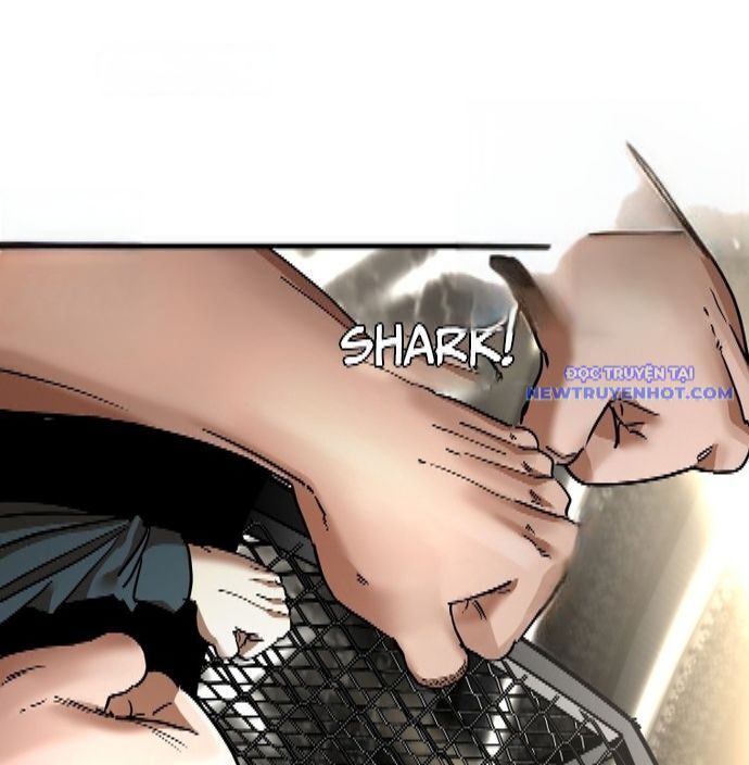 Shark - Cá Mập Chapter 341 - Trang 2