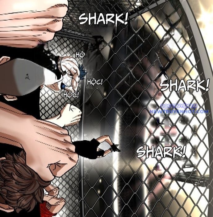 Shark - Cá Mập Chapter 341 - Trang 2