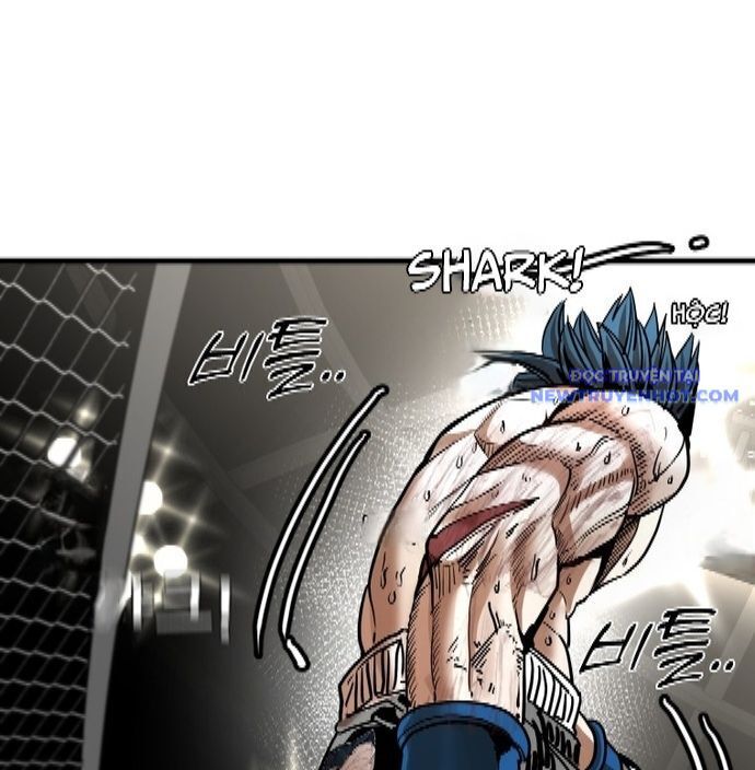 Shark - Cá Mập Chapter 341 - Trang 2